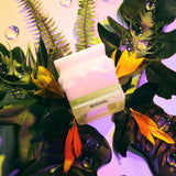 Extrait de Parfum MORFOSIA