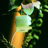 Extrait de Parfum MORFOSIA
