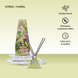 SAFF & Co. ROOM POTION - QUINTA DA REGALERIA